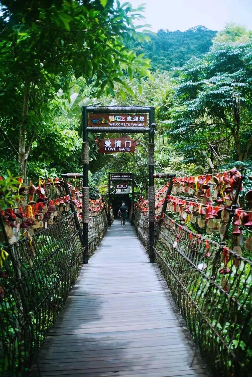 海南，热带风情与独特魅力的评论