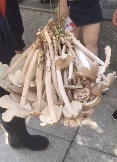 贵州的魅力与风情探索