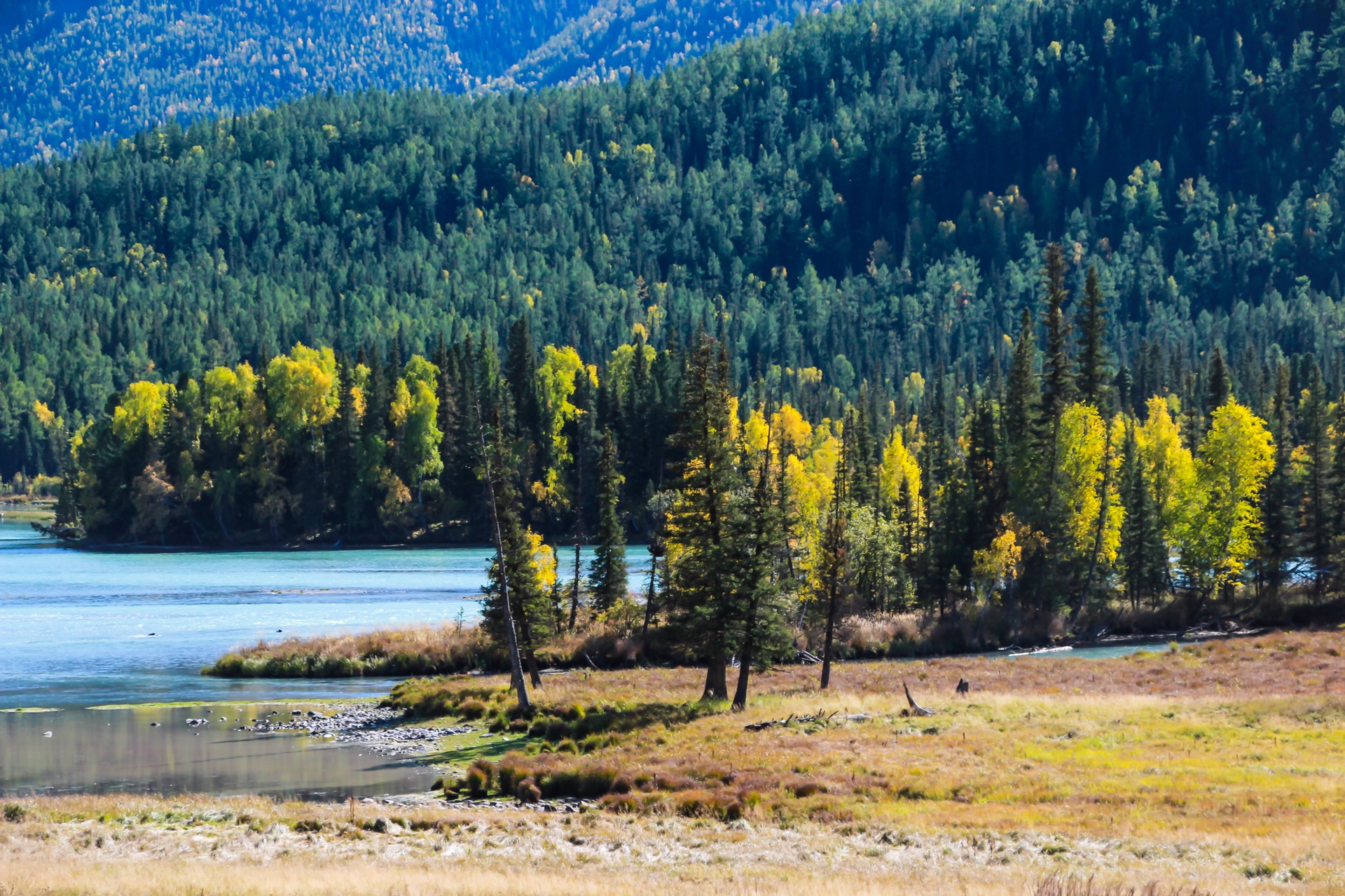 新疆巷弄中的隐秘美食之旅