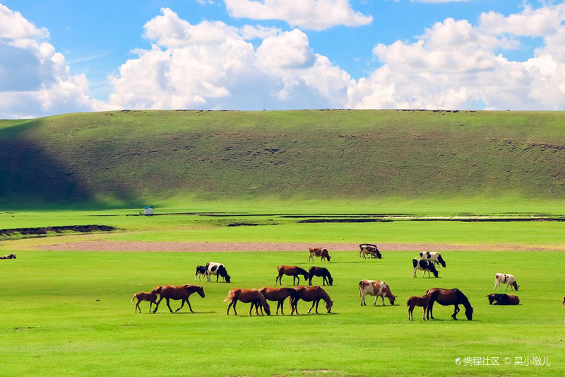 呼伦贝尔,草原励志故事,自信与成就感的起源地