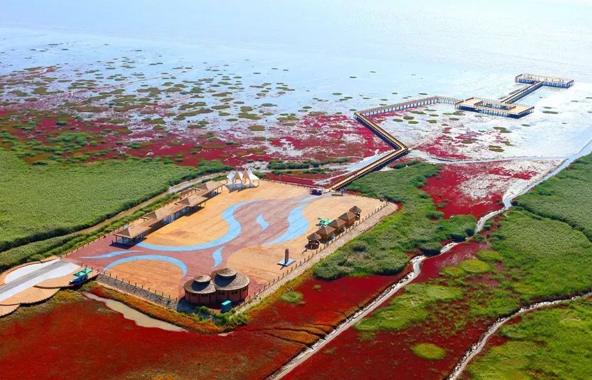 盘锦，湿地之都，生态画卷的璀璨篇章